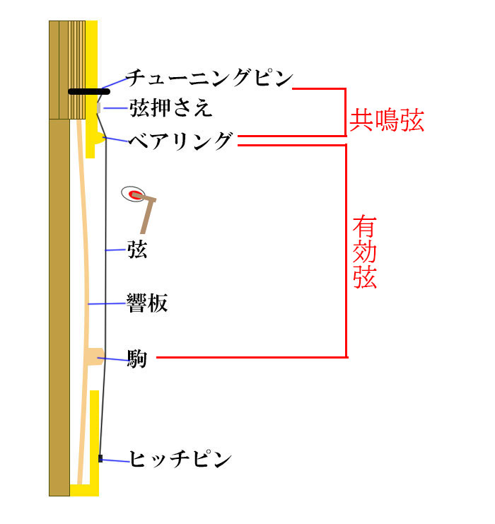 有効弦と共鳴弦